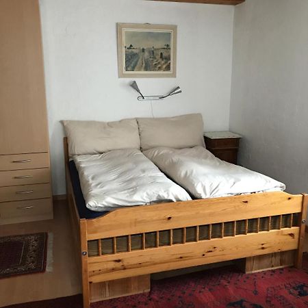 Renania Apartment Давос Екстериор снимка