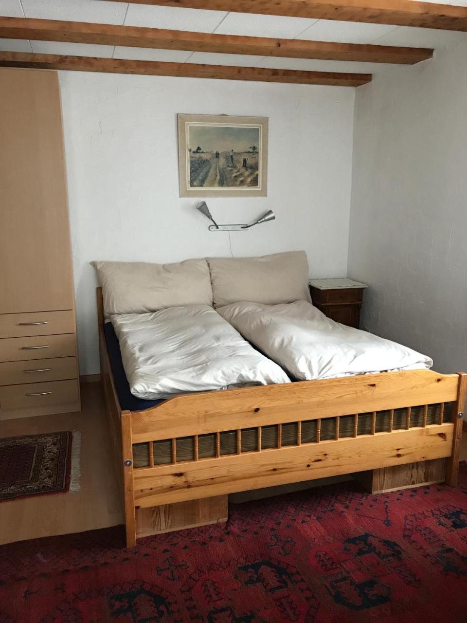 Renania Apartment Давос Екстериор снимка