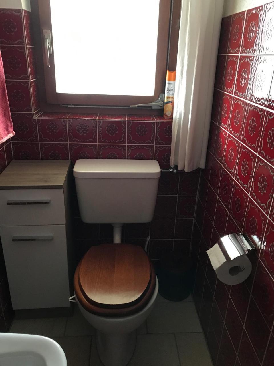 Renania Apartment Давос Екстериор снимка